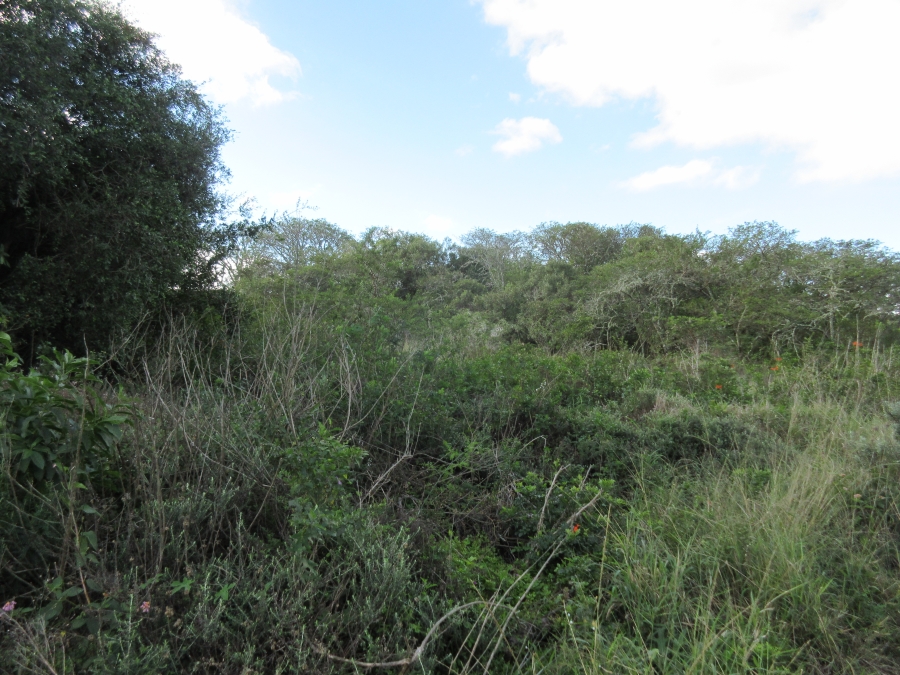 0 Bedroom Property for Sale in Bathurst Eastern Cape